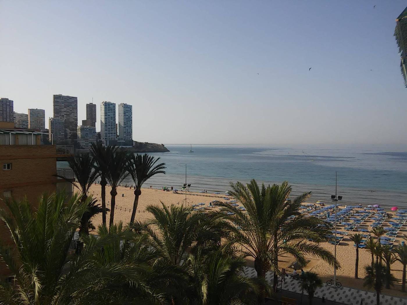 Apartamento,  Playa de Levante, Benidorm