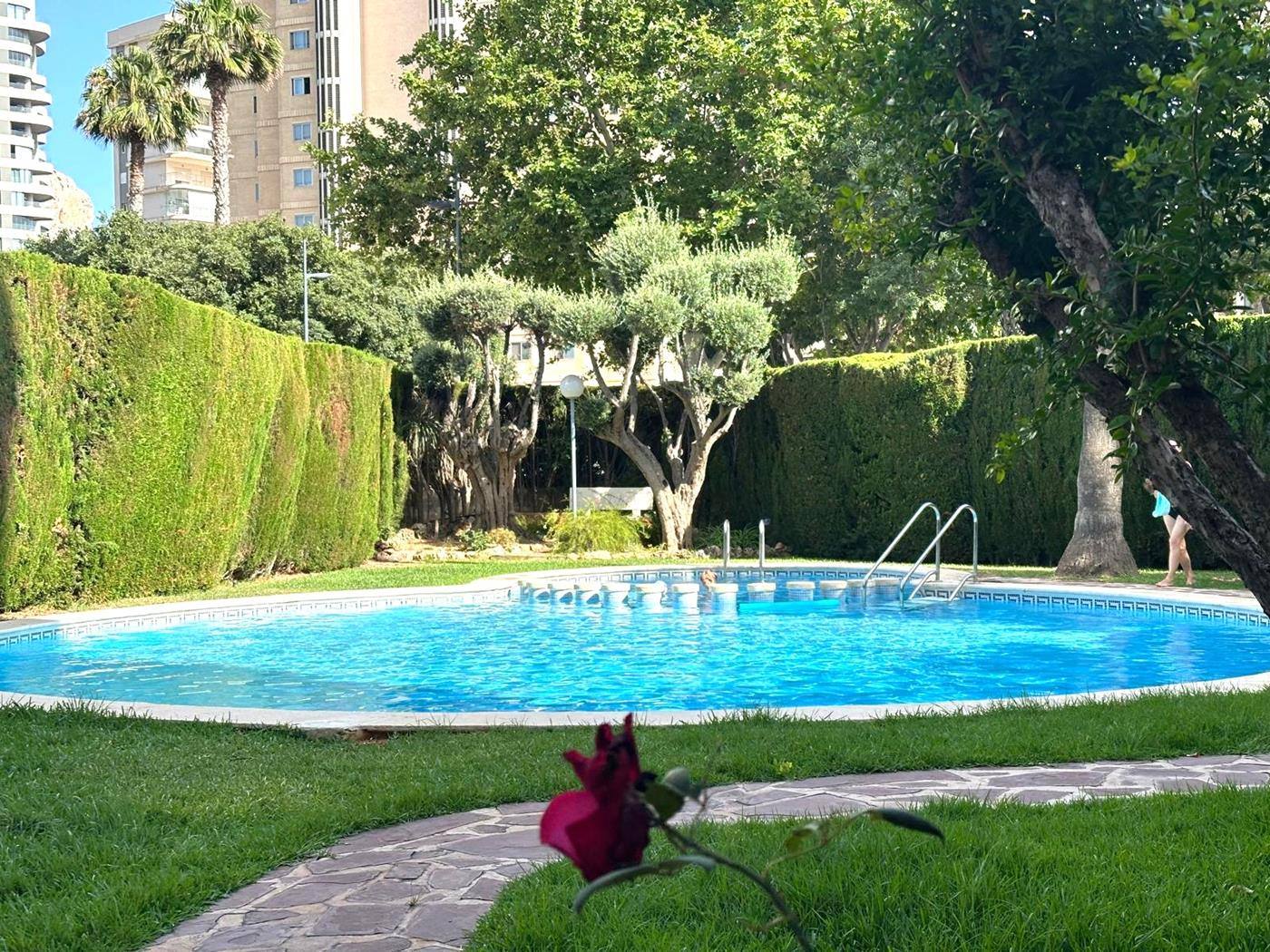 Apartamento  en  Calpe  -  Playa Arenal-Bol