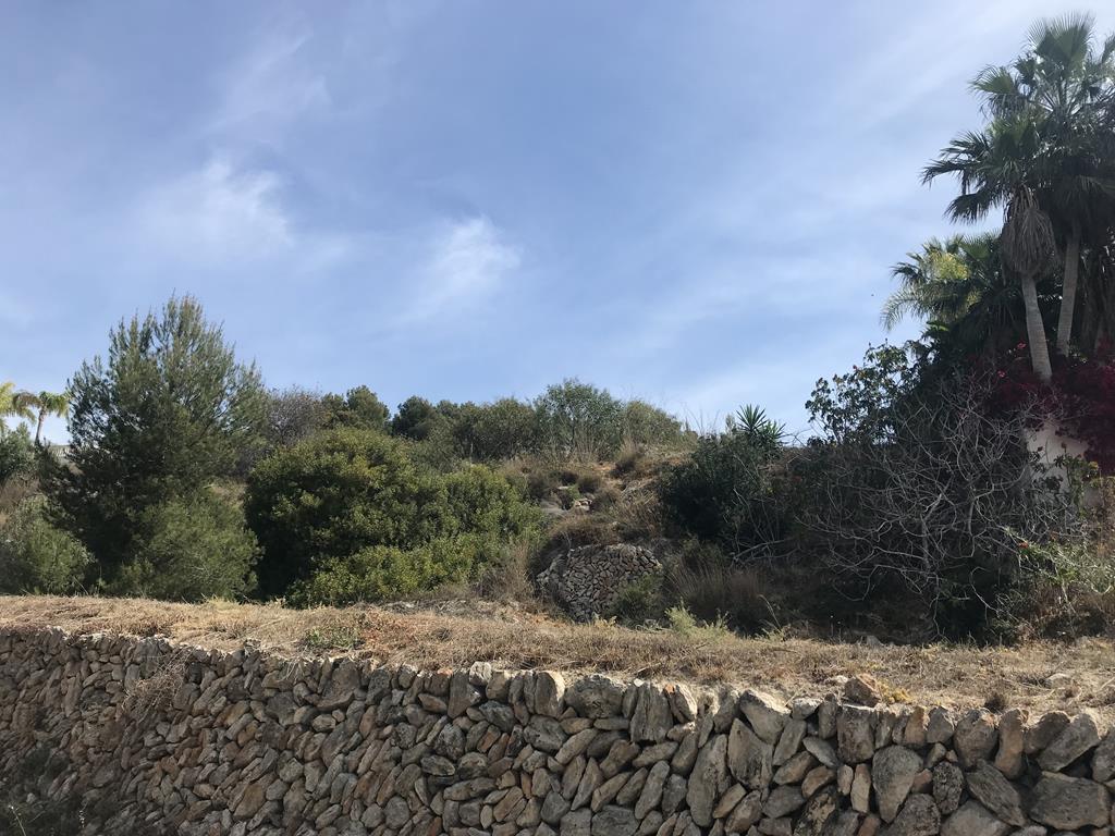 Parcela / Solar (Cometa III - Tosal de La Cometa) 800m2