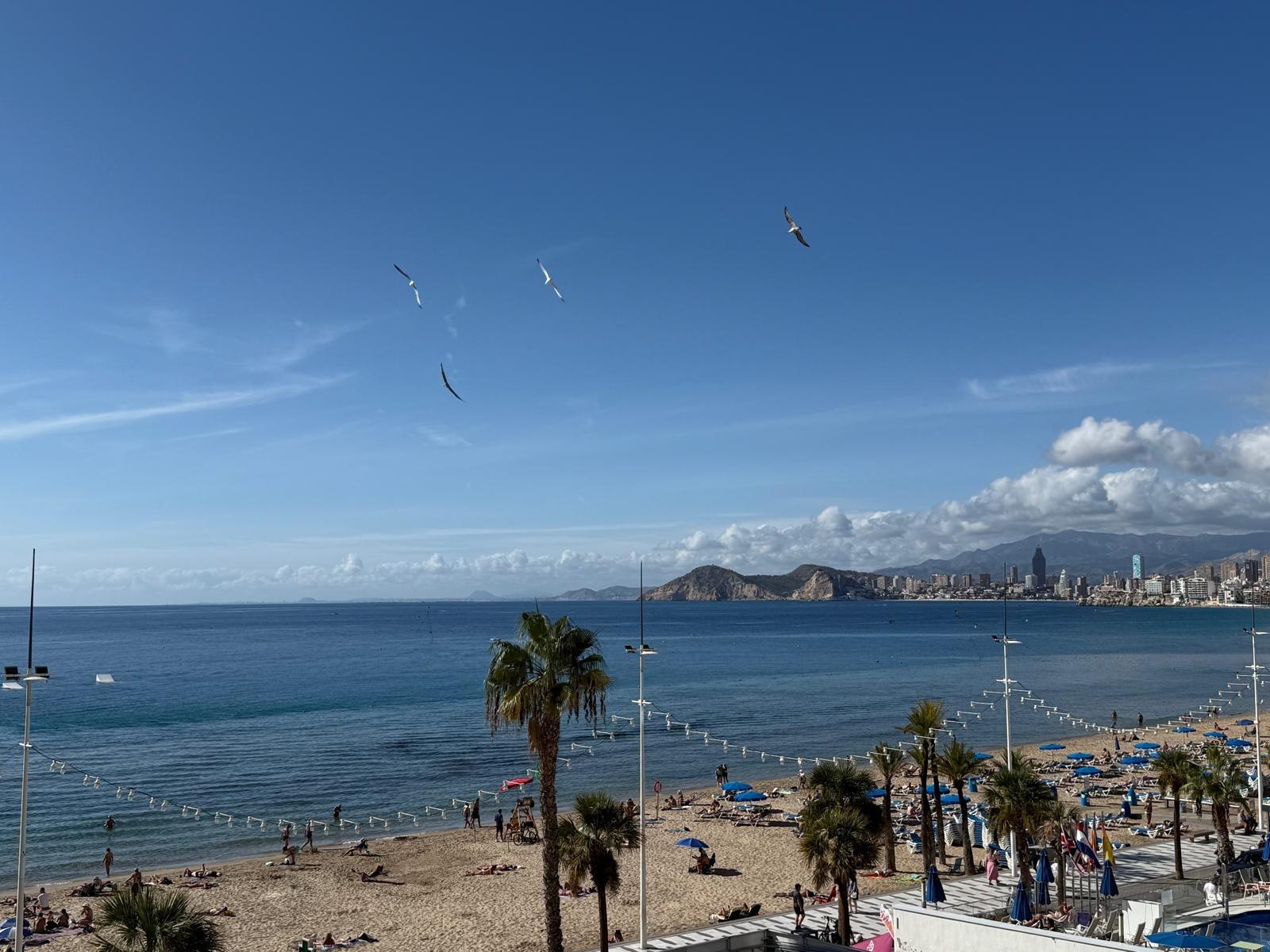 Apartamento en la costa de Levante
