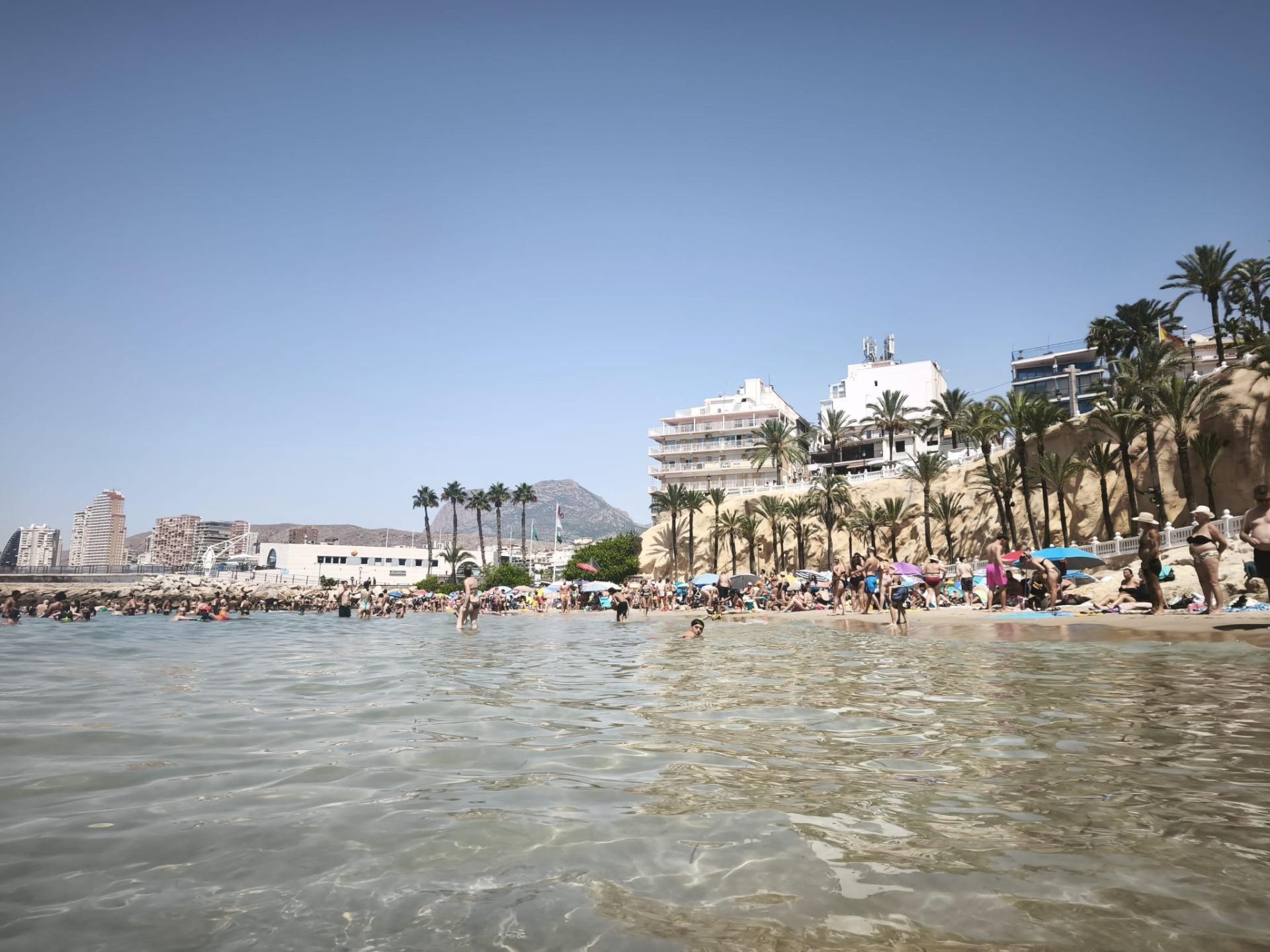 Apartments in Benidorm by the sea