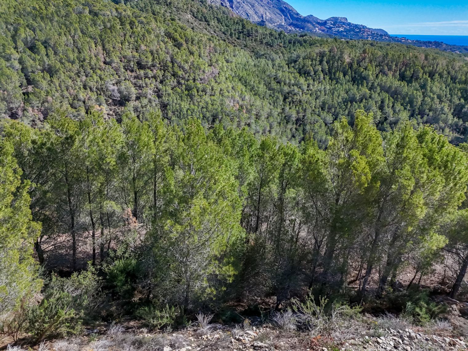 Te koop perceel in SANTA CLARA - ALTEA