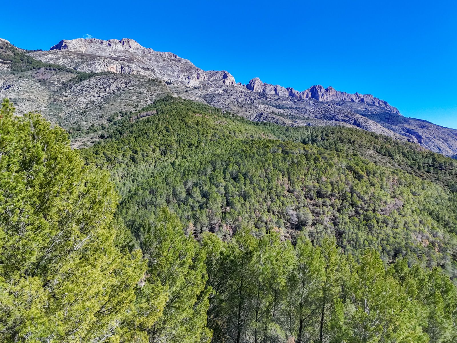 Te koop perceel in SANTA CLARA - ALTEA