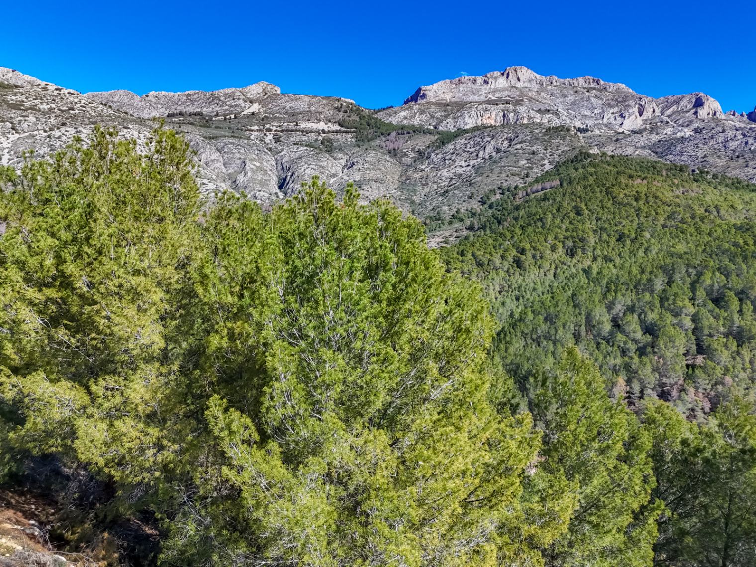 Te koop perceel in SANTA CLARA - ALTEA