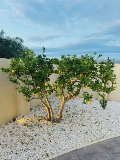 Villa à Alfaz del Pi
