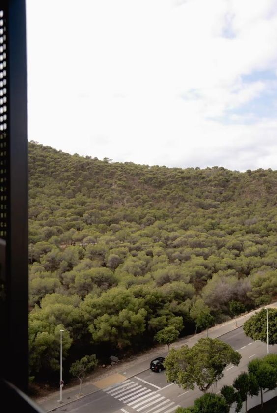 Apartments in Villajoyosa