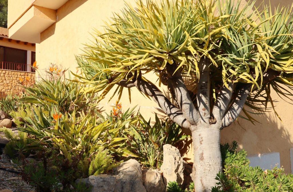 Villa exclusiva en Altea