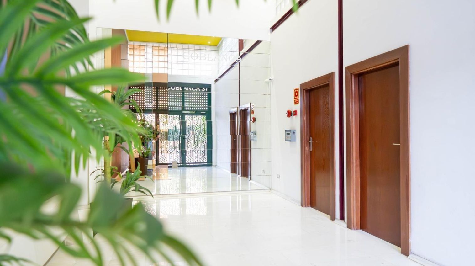 APARTAMENTOS - Benidorm, Poniente