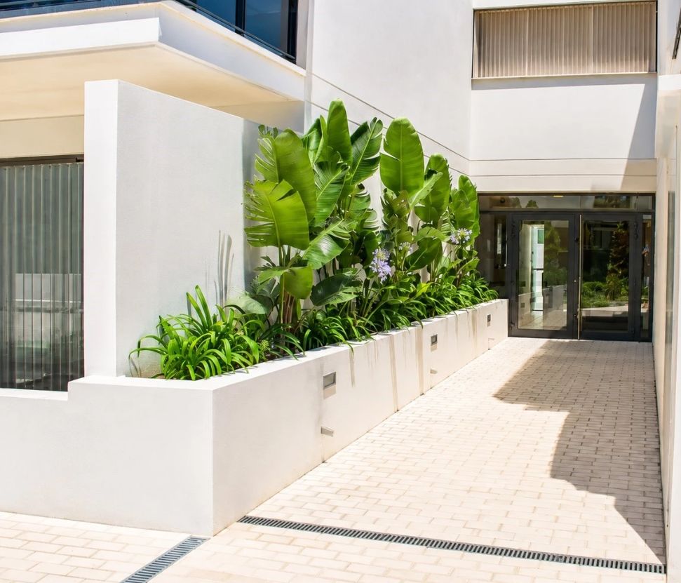Apartment in the center of Denia