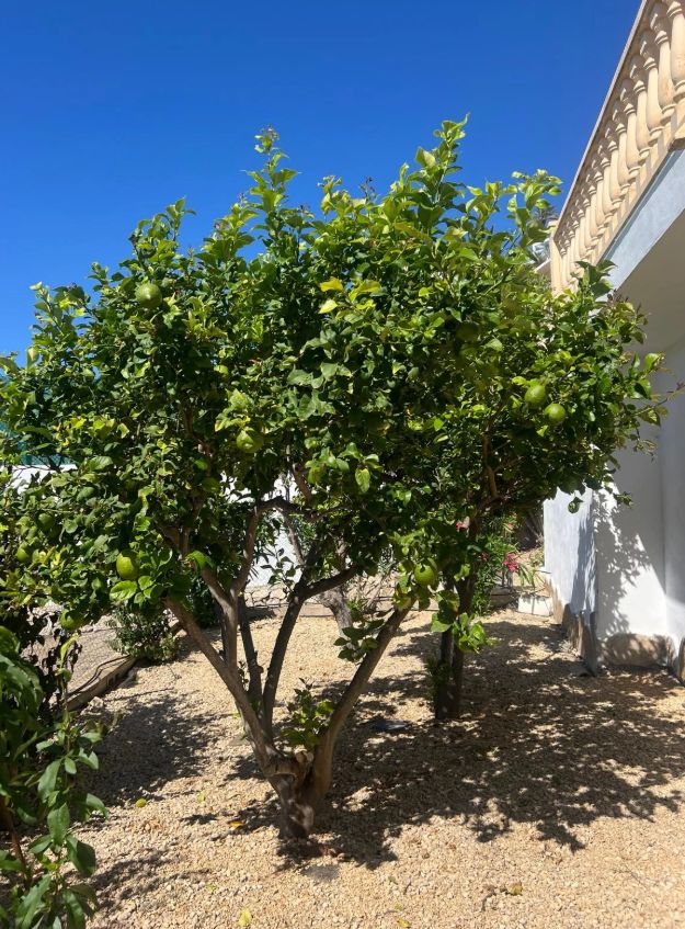 Villa con vistas al mar en Benimite, Moraira