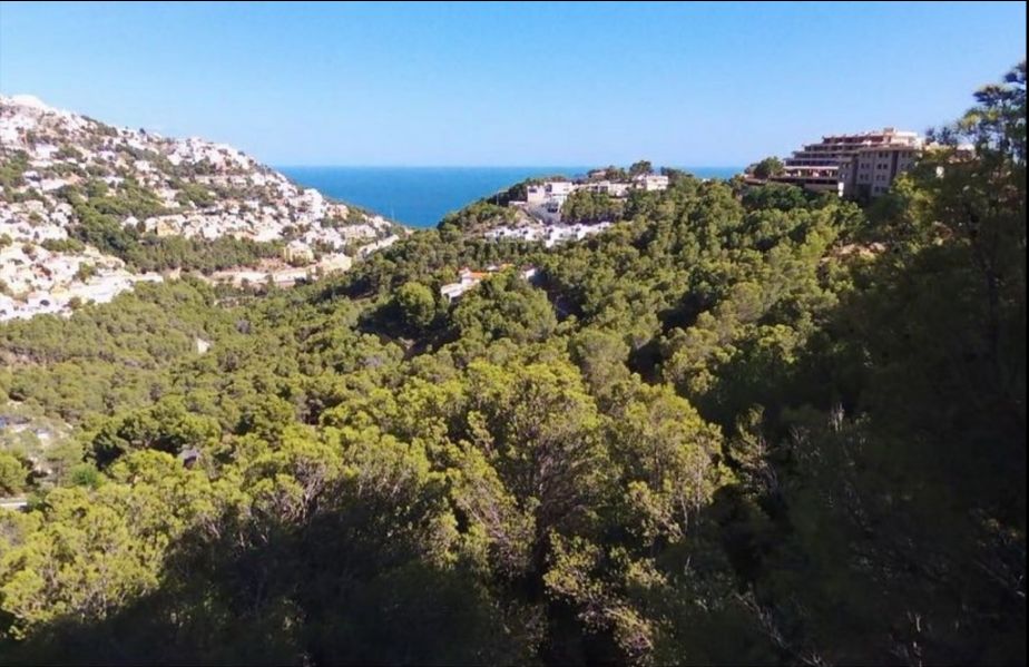 THREE PLACEMENTS IN ALTEA HILLS.