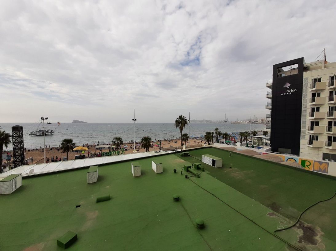 Piso en Benidorm (primera línea de playa Levante)