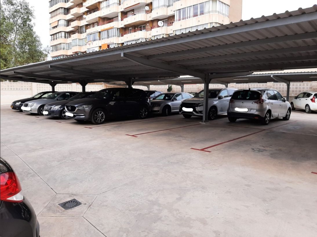 Piso en Benidorm (primera línea de playa Levante)