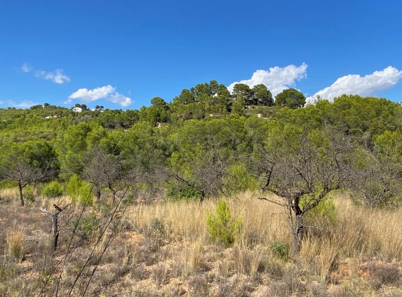 Plot in the countryside near Calpe